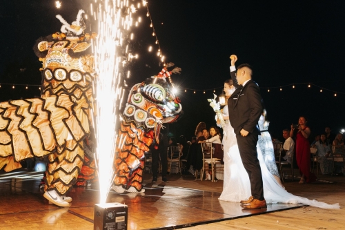 >Best Houston Vietnamese Wedding Photographer - 0045